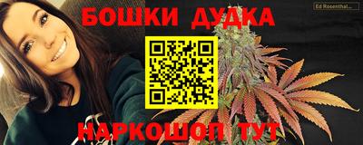 мдпв Владимир