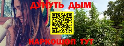 mdpv Брянск