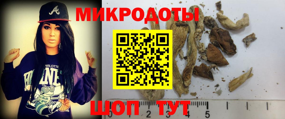 Дербент  Псилоцибиновые грибы ЛСД  Галлюциногенные грибы Psilocybine cubensis  Вход с VPN 